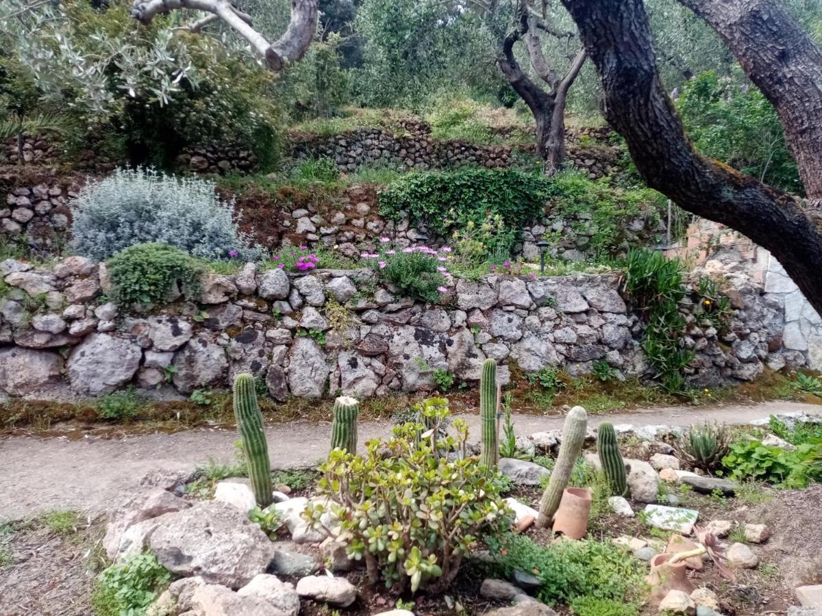 Cottage Pura Vigna Immerso Nella Natura Vicino Al Mare بورتو سانتو ستيفانو المظهر الخارجي الصورة