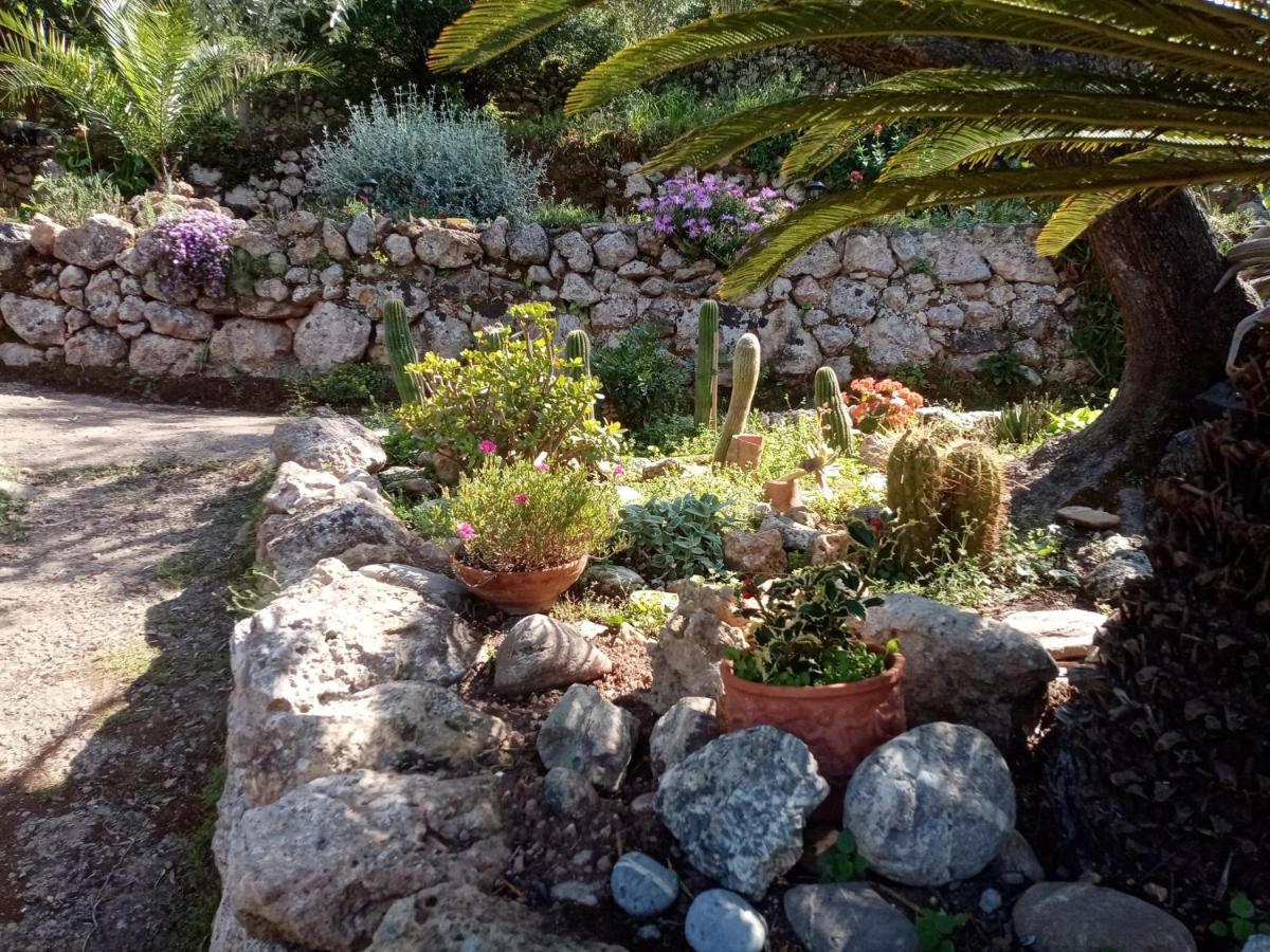 Cottage Pura Vigna Immerso Nella Natura Vicino Al Mare بورتو سانتو ستيفانو المظهر الخارجي الصورة