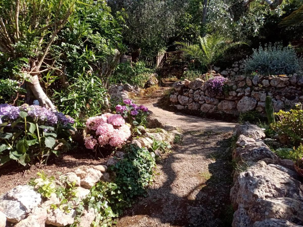 Cottage Pura Vigna Immerso Nella Natura Vicino Al Mare بورتو سانتو ستيفانو المظهر الخارجي الصورة